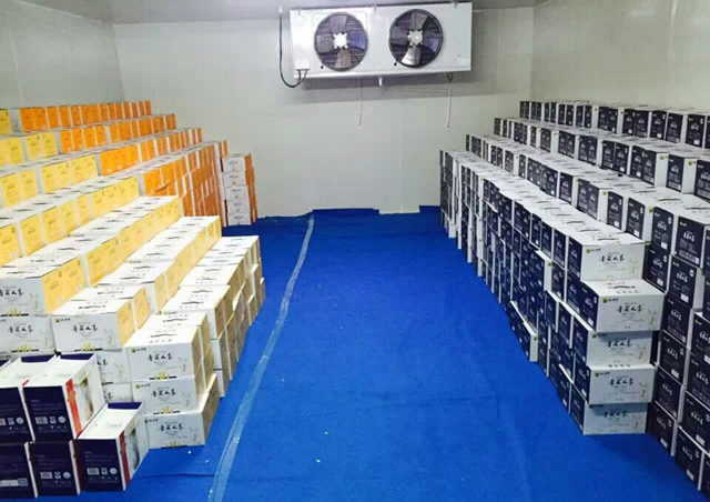 杭州保鮮冷庫(kù)建造