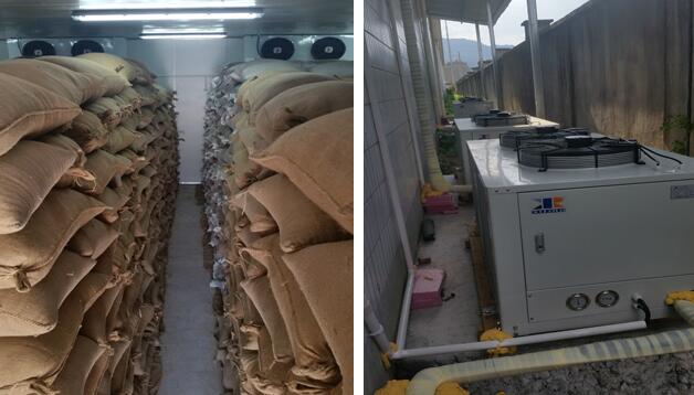 種子低溫冷庫制作工程