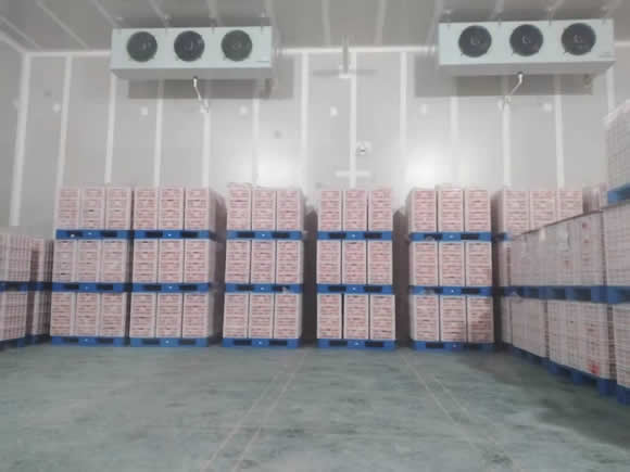 氣調庫和保鮮庫有什么區別