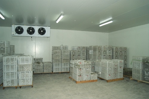 氣調(diào)保鮮庫造價(jià)影響因素有哪些