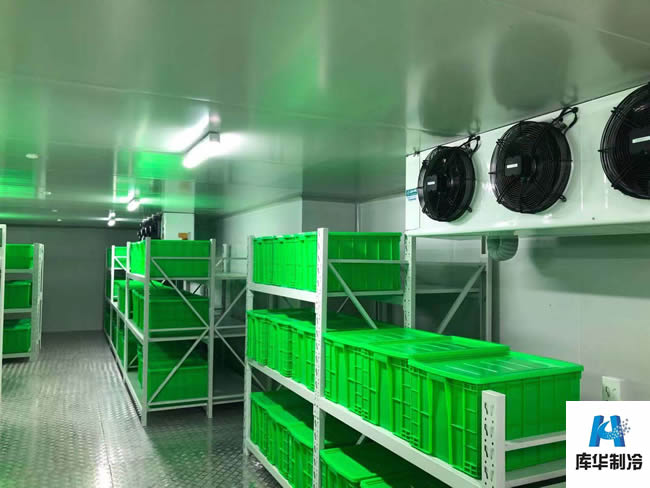 醫(yī)藥冷庫建造標(biāo)準(zhǔn) 醫(yī)療冷藏庫溫度要求