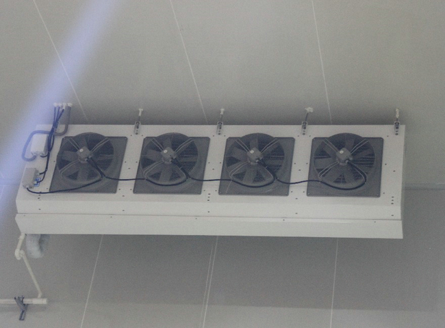 溫州建造一個冷庫要花費多少錢