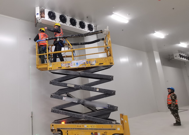 紹興果蔬保鮮冷庫建造公司 冷庫設備廠家