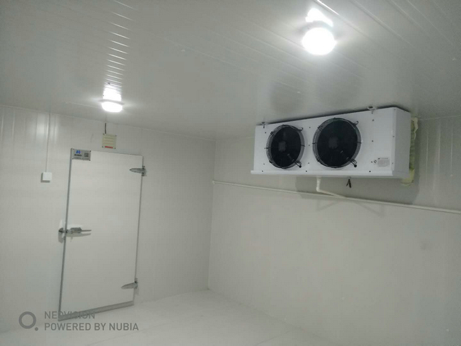 杭州蔬菜水果冷庫(kù)建造 保鮮冷庫(kù)出入庫(kù)流程