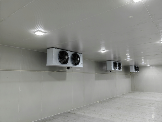 金華建造50噸水果保鮮庫造價(jià)要多少錢