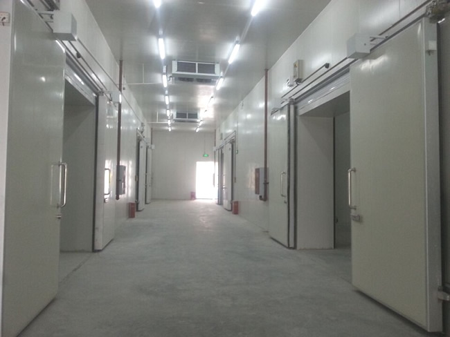 建造一個工業冷庫成本費用大概多少？