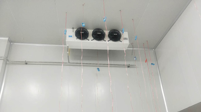 建造個(gè)芒果冷庫價(jià)格要多少錢?