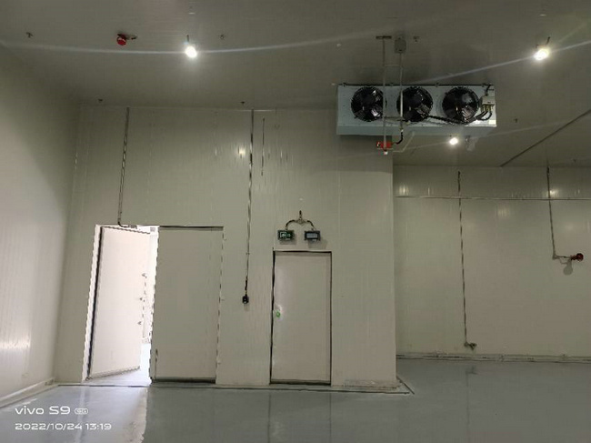 湖州建30噸蔬菜保鮮庫造價要多少錢？