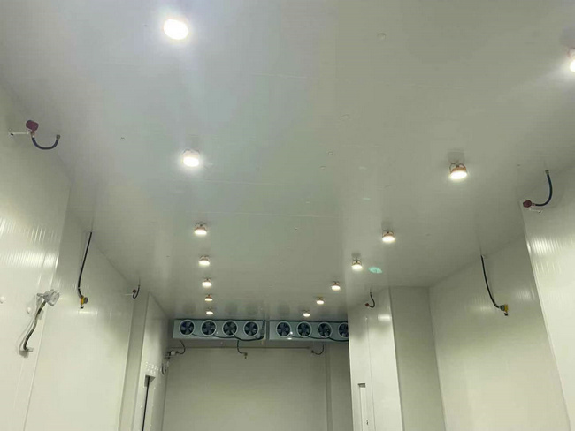 衢州建造20平方保鮮冷庫需要多少錢？