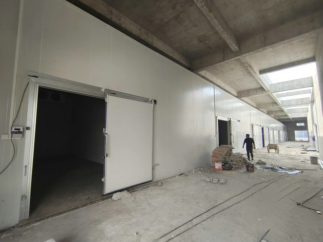 建一個萬噸果蔬保鮮庫需要投資多少錢？